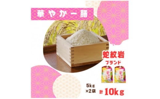 ＜毎月定期便＞蛇紋岩ブランド 華やか一膳 10kg(5kg×2)全12回【4071010】