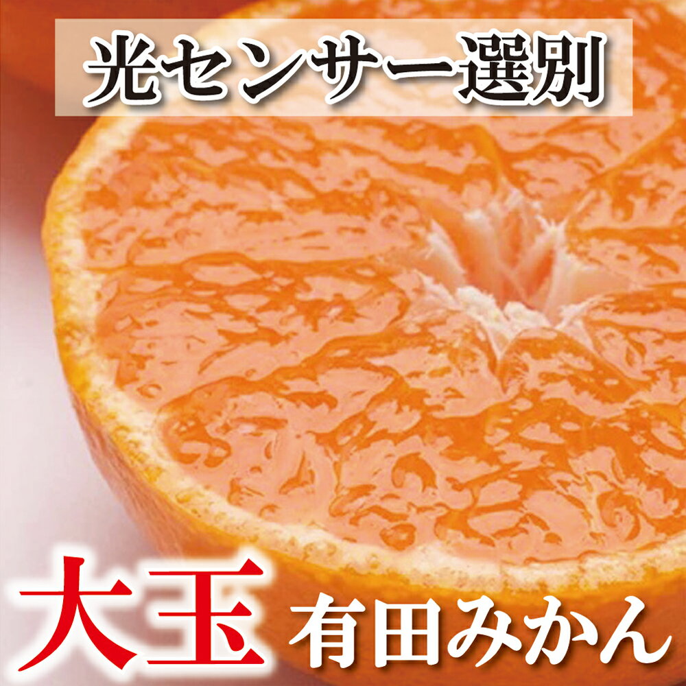 【ふるさと納税】 家庭用 大きな有田みかん (2L以上混合) 【先行予約】【選べる容量】2.5kg 5kg 7.5kg 10kg【わけあり・訳あり】 【光センサー選果】 ＜2025年11月より順次発送＞ / 和歌山 オレンジ 果物 フルーツ 果汁 柑橘 みかん ミカン 有田みかん 果実 大玉 訳アリ