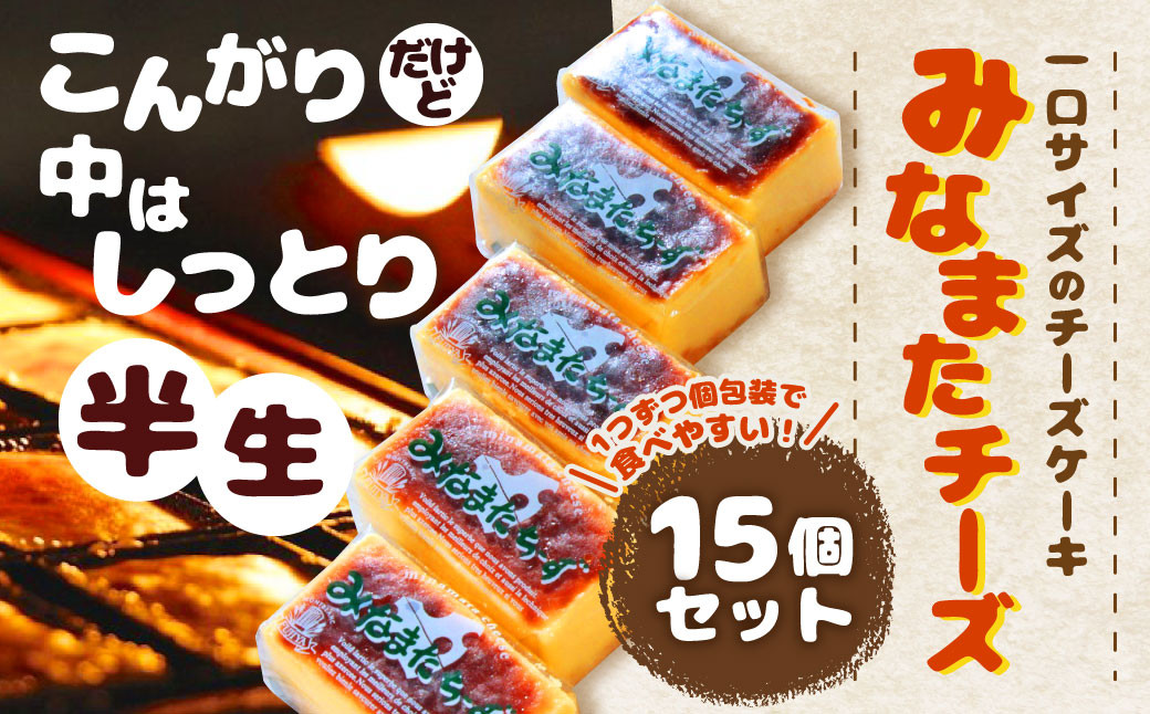 
            みなまたチーズ 計600g (40g×15個) ケーキ お菓子 冷凍
          