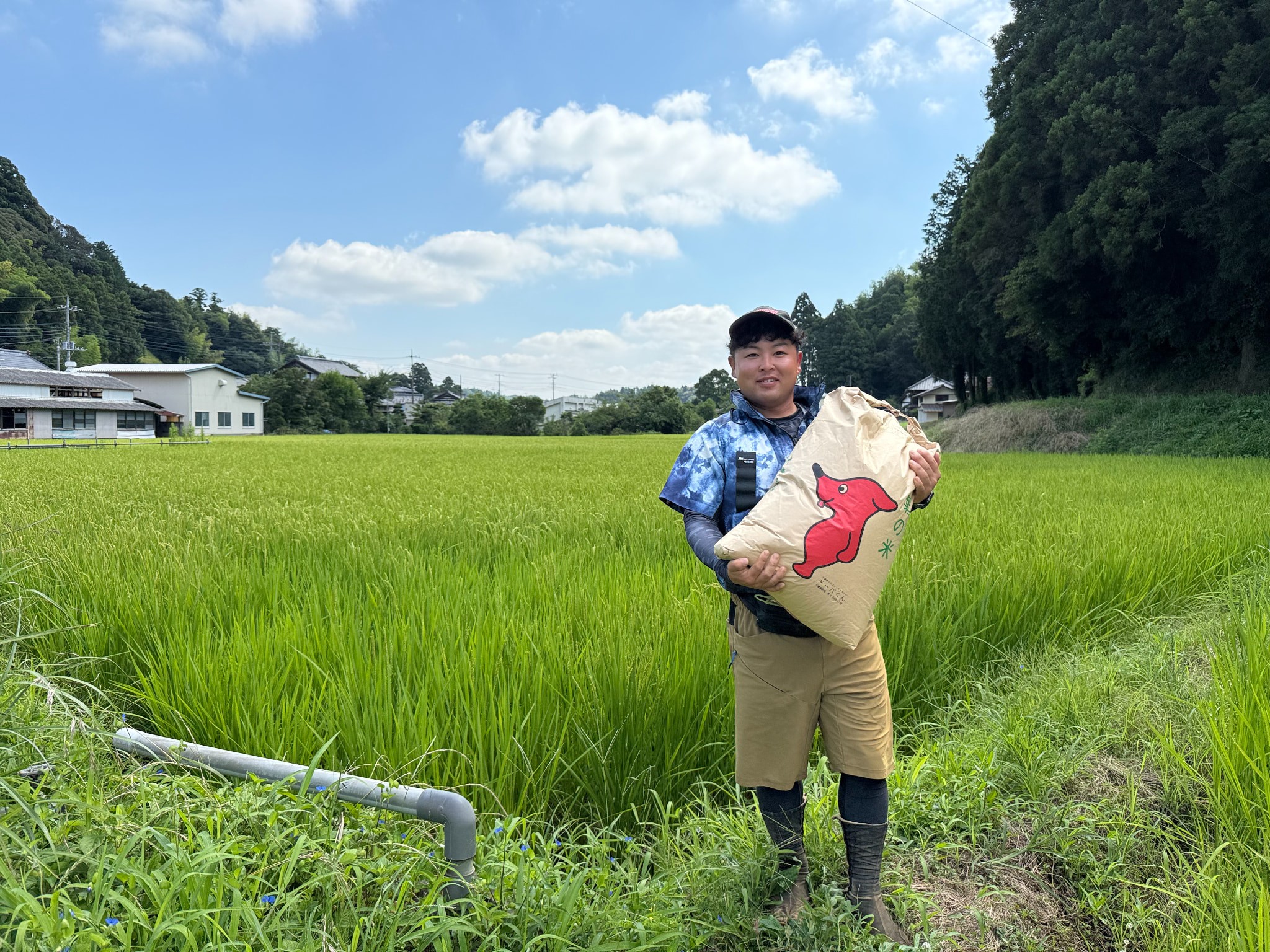 
                  多古米セレクション　柏原徹さんの多古米コシヒカリ　玄米10kg　令和7年産 TAKF064
                