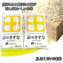 【ふるさと納税】No.297 行田市産「彩のきずな」精米10kg（5kg×2） ／ お米 白米 ごはん 送料無料 埼玉県