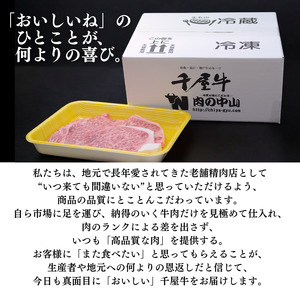 中山精肉店 千屋牛 A4 A5 特選 ステーキ用 サーロイン 400g 200g×2枚