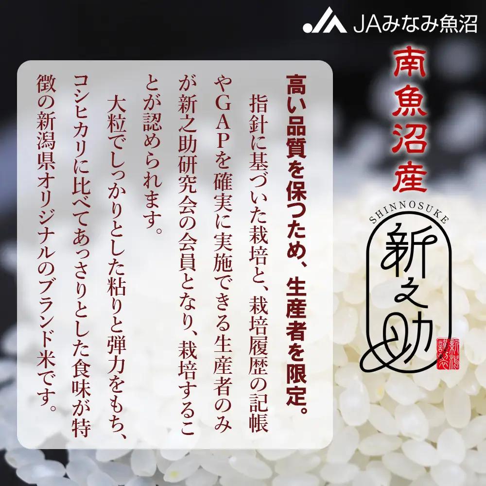 【令和7年産】南魚沼産新之助 精米 2kg×5袋 ｜新之助