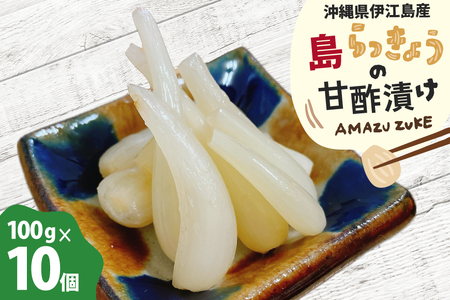 らっきょう 島らっきょうの甘酢漬け 100g 10個 [NOGUS 沖縄県 伊江村 ie47bde420001]