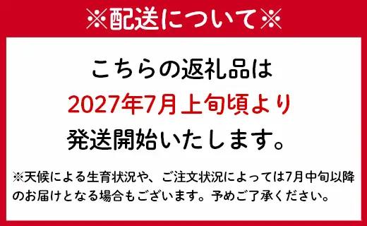 【2027年発送】【先行受付】【ご家庭用】徳之島 天城町 島マンゴー園 完熟マンゴー 2kg マンゴー フルーツ BA-4-N