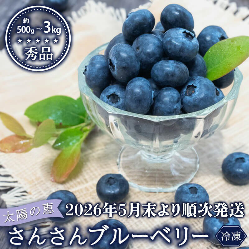 【ふるさと納税】 【早期予約開始 2026年5月末より順次発送】 ブルーベリー 秀品 大粒 選べる 容量 500g 1kg 2kg 3kg 冷凍 健康 食品 果物 フルーツ ベリー おやつ 加工 お菓子 製菓 シャーベット ジャム ソース スムージー におすすめ いちかわファーム 高知県 須崎市
