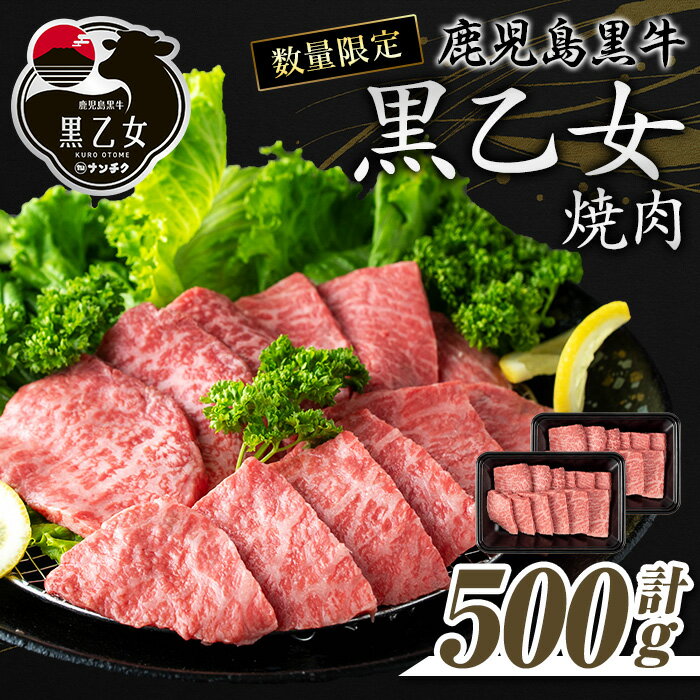 【ふるさと納税】鹿児島黒牛 黒乙女 和牛モモ焼肉(計500g・250g×2P) 黒毛和牛 黒牛 黒乙女 牛肉 牛 肉 モモ 焼肉 冷凍 小分け 国産 赤身 赤身肉【ナンチク】