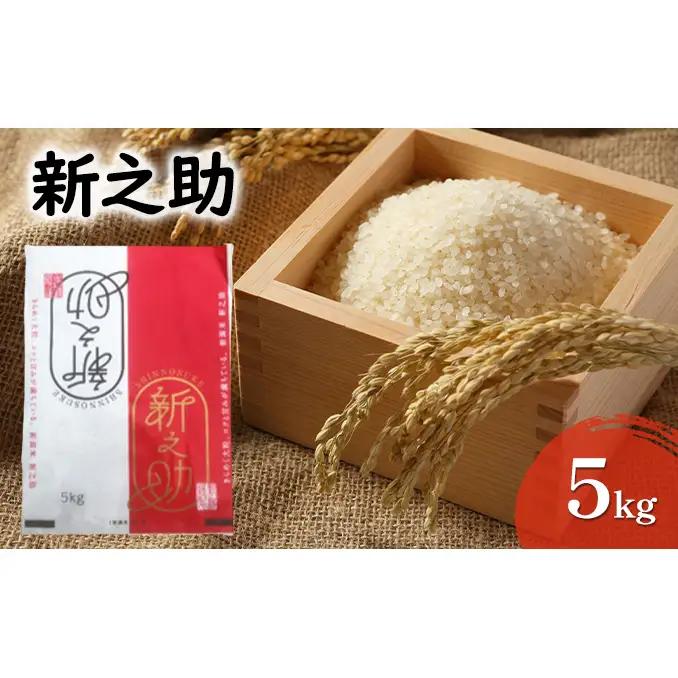 【先行予約】令和8年産米 新之助 5kg お米 精米新潟県田上町
