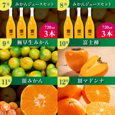 【発送月固定定期便】みかんのある暮らし全12回【H31−33】【配送不可地域：離島】【4000707】