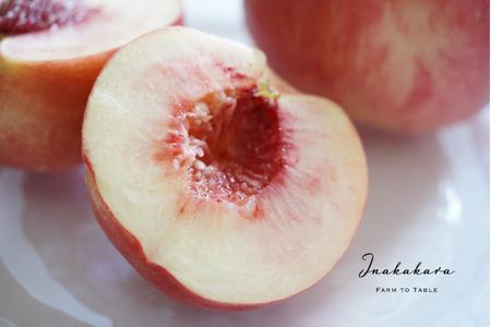 【2026年発送★先行予約】【笛吹市産】】Inakakara 一宮町の桃 ファーストクラス 6玉(約2.4kg) 192-010