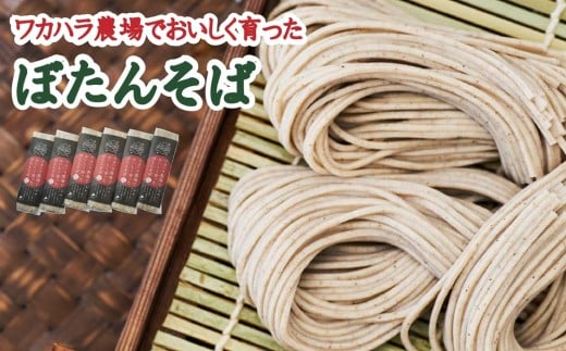 L-1503 ワカハラ農場でおいしく育ったぼたんそば《細麺》6束
