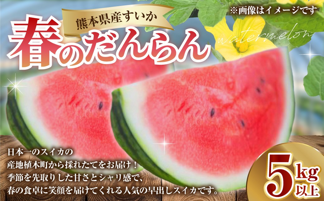 
            熊本県産 すいか 春のだんらん 5kg以上 スイカ 西瓜 果物 くだもの フルーツ おすすめ ギフト 贈り物 【2026年3月下旬発送開始】
          
