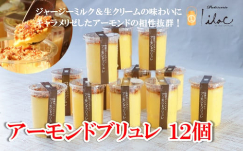 ジャージーミルクたっぷり アーモンドブリュレ12個 ジャージー牧場 らいらっく 自家牧場 ジャージー牛 牛乳 ミルク アーモンド ブリュレ アイス プリン 無添加 手作り 濃厚  冷凍  AS2BI7