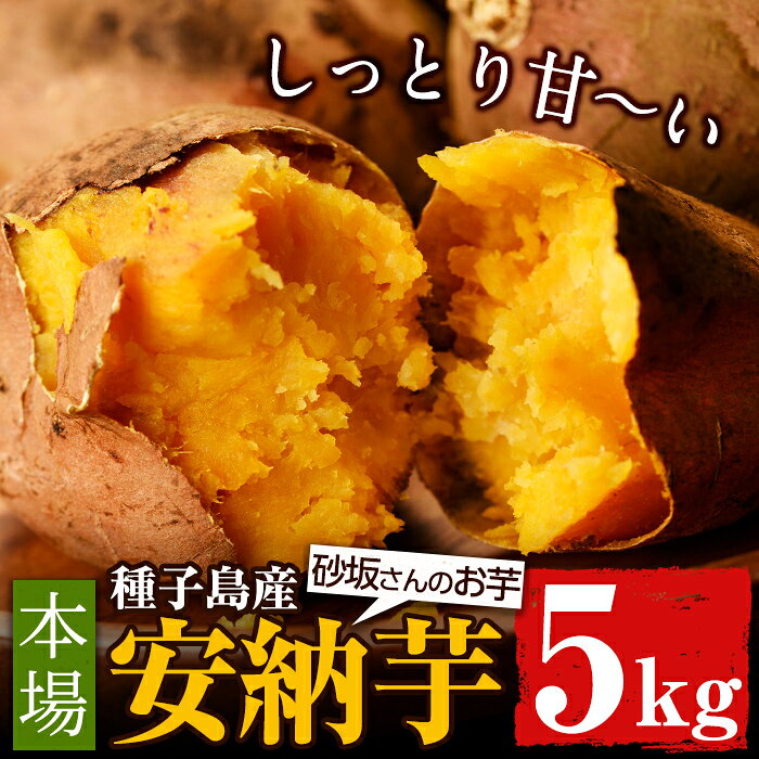 【ふるさと納税】＜先行予約受付中！2026年11月中旬頃より順次発送予定＞種子島産 安納芋(5kg) 国産 安納芋 本場 種子島 芋 イモ いも さつまいも さつま芋 安納いも 野菜 K-GAP【砂坂展恵】※北海道・沖縄配送不可※