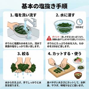 塩蔵わかめ 500g (250g×2パック)