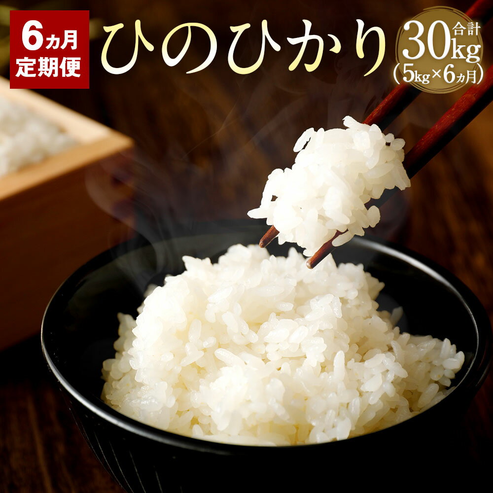 【ふるさと納税】【6か月定期便】 竹田市産 名水育ち ひのひかり 5kg×6か月 合計30kg お米 白米 精米 定期便 大分県産 九州産 ヒノヒカリ 大分県 竹田市 送料無料