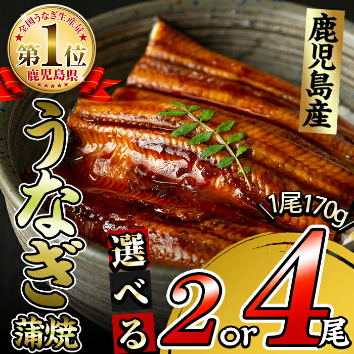 鹿児島県大隅産くすだ屋の極上うなぎ(特大)2尾＜計340g以上＞国産ウナギのかば焼き真空パック！鰻丼、鰻重、ひつまぶしに【楠田養鰻】a