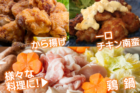 小分けで便利［250g×10袋］若鳥もも肉 個別凍結 宮崎県産 【B567】