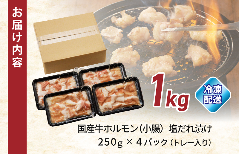 国産 牛肉 ホルモン 1kg 塩だれ漬け 焼肉用 小分け 250g×4P【牛肉 焼肉用 焼くだけ 小分け BBQ やきにく 数量限定】 099H3869