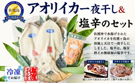 【佐渡産 アオリイカ】一夜干し1〜3袋＋無添加塩辛130g×1袋セット 天日干し 冷凍 | 新潟県産いか 新潟産いか 佐渡産アオリイカ 佐渡島産いか あおりいか いか イカ 烏賊 一夜干し ひもの 干物 塩辛 珍味 おつまみ 酒の肴 海鮮 魚介 魚介類 にいがた さど 新潟県 佐渡市
