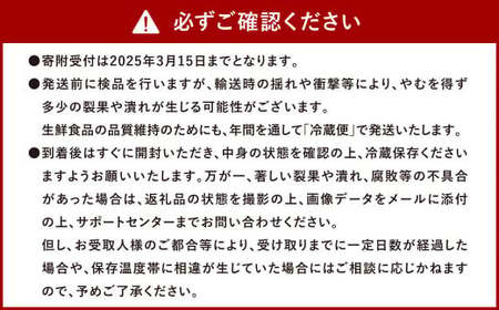 【年3回定期便／2025年1月発送開始】 ソムリエ ミニ トマト ダイヤ 3kg×3回 合計9kg とまと トマト 野菜 やさい 熊本県産 国産 