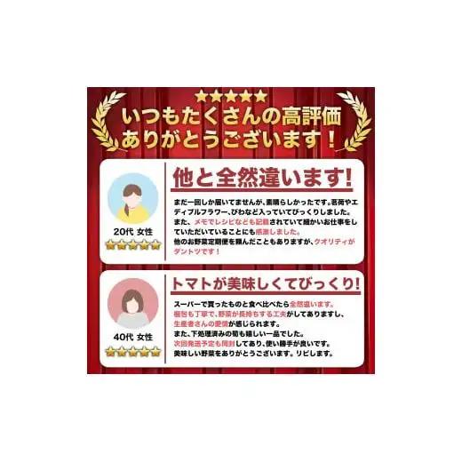 【 野菜定期便 】 野菜定期便詰め合わせ