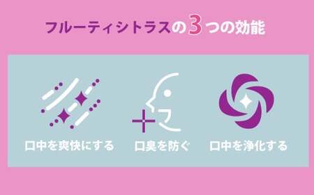 【2ヶ月毎2回定期便】マウスウォッシュ メイクアニューハビット （ノンアルコール フルーティシトラス）975ml×5個 セット 洗浄 洗口液 日用品