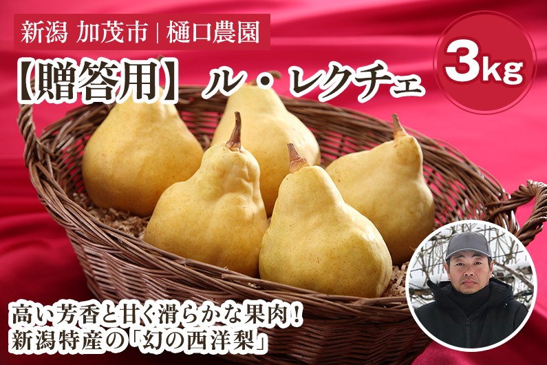 
                  【2026年先行予約】【贈答用】西洋梨 ル・レクチェ 3kg（7～11玉）《11月下旬～順次発送》果物 梨 洋梨 西洋梨 フルーツ 冬の味覚 デザート 産地直送 加茂市 樋口農園
                