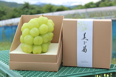 【2026年発送】びっくりサイズの大粒ぶどう 岡山県産 雄宝 １房(約1.0kg)