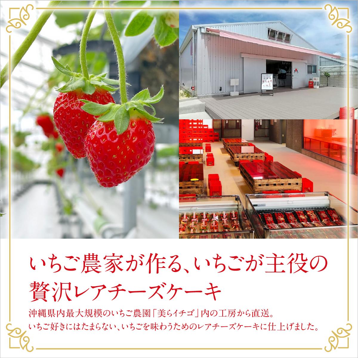 ごろっとイチゴとレアチーズ（南城市／美らイチゴ）   I  いちご レアチーズ スイーツ デザート 美らイチゴ ご当地 スイーツ   沖縄県 南城市 ふるさと納税 美らイチゴ レアチーズ6個