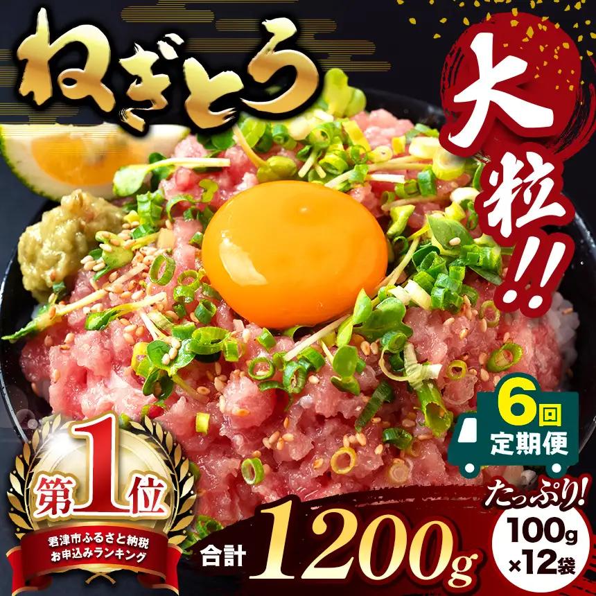 【定期便6回】ねぎとろ 1200g（100g×12袋） | 清幸丸水産 大人気 手巻き寿司 海鮮丼 マグロのユッケ まぐろ 海鮮 小分け 100g パック 千葉県 君津市