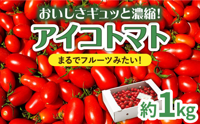 【2025年12月～発送】【完熟ミニトマト】アイコトマト 約1kg / トマト とまと 野菜 / 南島原市 / 長崎県農産品流通合同会社 [SCB039]