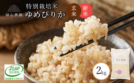 【令和7年産新米予約】玄米 ゆめぴりか 2kg　特別栽培米産地直送《帰山農園》 米 こめ 北海道産お米 北海道米 美味しいお米 北海道産米 道産米