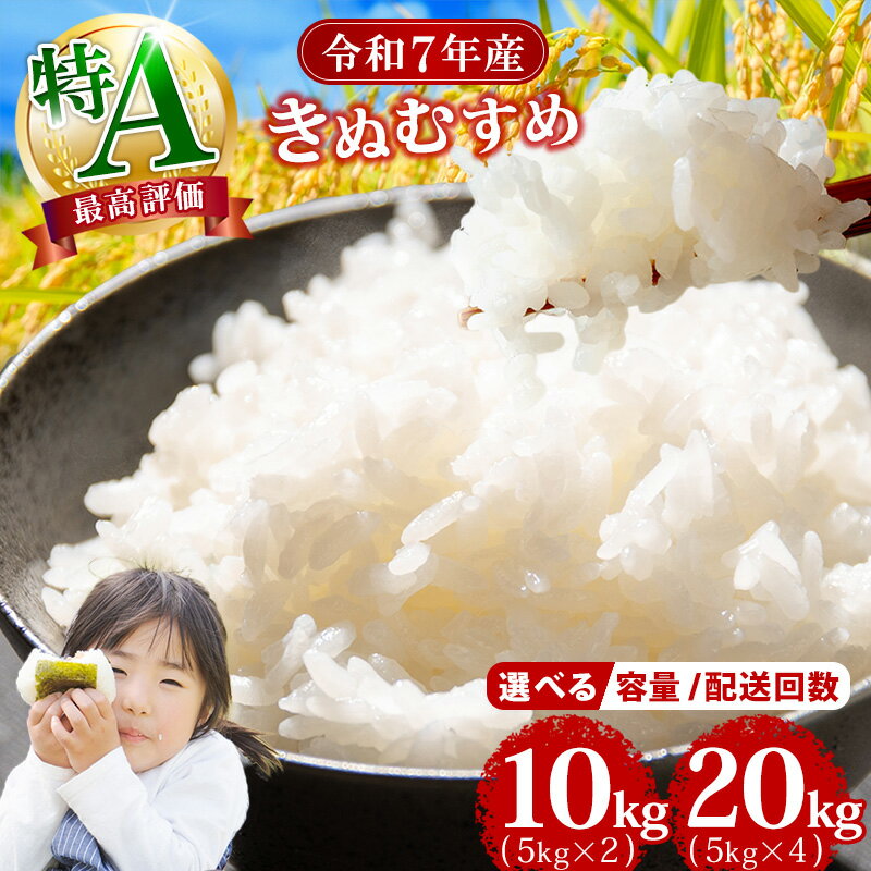 【ふるさと納税】 ★レビュー高評価★ 選べる!〈新米予約 配送月 容量〉 9年連続 特A「 きぬむすめ 」10kg ～ 20kg 岡山県産 銘柄米 ブランド米 単一原料米／定期便 令和7年産 令和7年／令和6年産 令和6年 楽天限定 SF3-4 【岡山県勝央町】