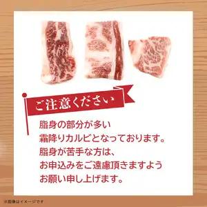 博多和牛 霜降りカルビ 約500g 072-248