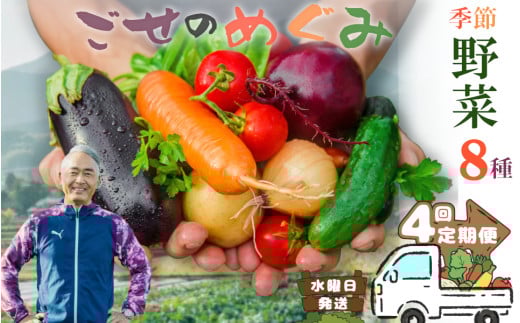 【冷蔵】（定期便）（水曜日発送）季節のこだわり野菜セット　年4回 ／ 奥野ファーム大和 季節野菜 有機肥料 奈良県 御所市