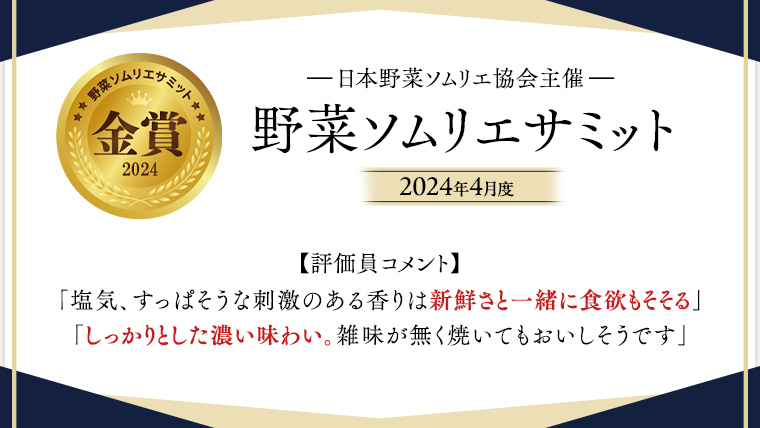 糖度9度以上 トマト 【 2025年収穫分 先行予約 】 スーパーフルーツトマト 中箱 約1.2kg × 2箱 （12～18玉/1箱）糖度9度以上 フルーツトマト トマト 2025年2月上旬発送開始 