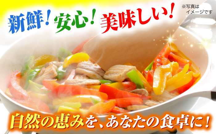 贈答 ギフト 特産品 新鮮 旬の野菜 お野菜