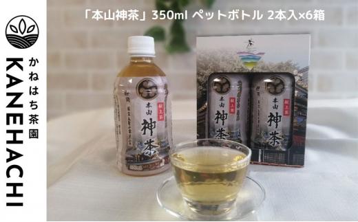 静岡久能山東照宮献上茶「本山神茶」 お茶 350ml ペットボトル 2本入×6箱 セット 静岡市葵区産 かねはち茶園 飲料 オススメお茶