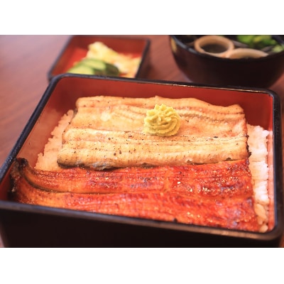 希少!数量限定!海水育ちの天草藍うなぎ　紅白5～7尾セット(宇城市)【配送不可地域：離島】【1244444】