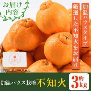 ＜先行予約受付中！2025年12月上旬以降順次発送予定＞数量限定！鹿児島県産加温ハウス栽培の不知火「大将季」(計約3kg) 旬 フルーツ 果物 柑橘 みかん【三笠農業生産】akn051-07