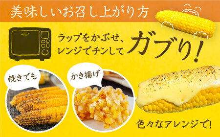 【先行予約】夜明けのスイートコーン 4kg×1箱 7-10本 [VCO001] コーン とうもろこし