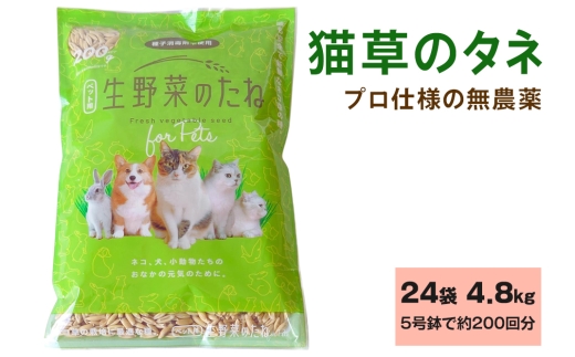 プロ仕様の 無農薬 猫草のタネ 24袋 計4.8kg (5号鉢で約200回分)｜猫草 まとめ買い ペット用生野菜のタネ 24袋 ペットグラス 種 無農薬種子 [1215]