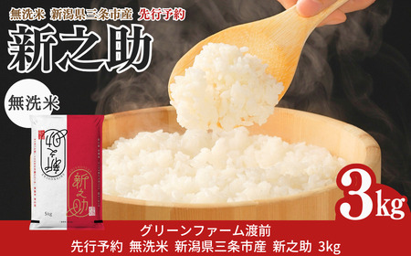 無洗米 先行予約 新之助 無洗米 3kg  無洗米 新潟県三条市産 令和7年産 無洗米 2025年産 無洗米