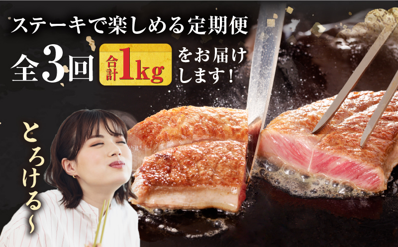 【定期便全3回】宮崎牛ステーキ食べ比べコース