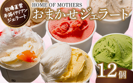 ジェラート 12個 （ プレミアム ジェラート4個入・6種以上入アソート） アイス おまかせ 牧場直営 イタリアンジェラート アイスクリーム ミルク 牧場 スイーツ デザート 贈答 プレゼント 贈り物 人気  ホームオブマザーズ 宇畑牧場 