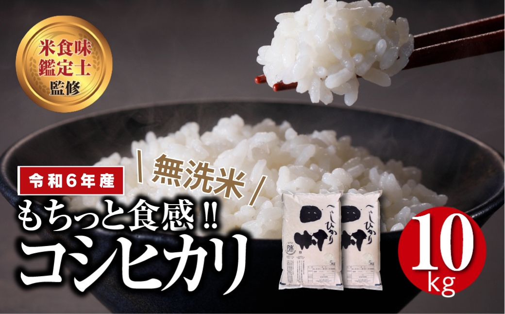 【 無洗米 】 令和6年産 田村産 コシヒカリ 10kg ( 5kg × 2袋 ) 精米 白米 贈答 ギフト プレゼント 美味しい 米 kome コメ ご飯 ブランド米 精米したて お米マイスター 匠 食味鑑定士 福島県 福島 ふくしま 田村 安藤米穀店