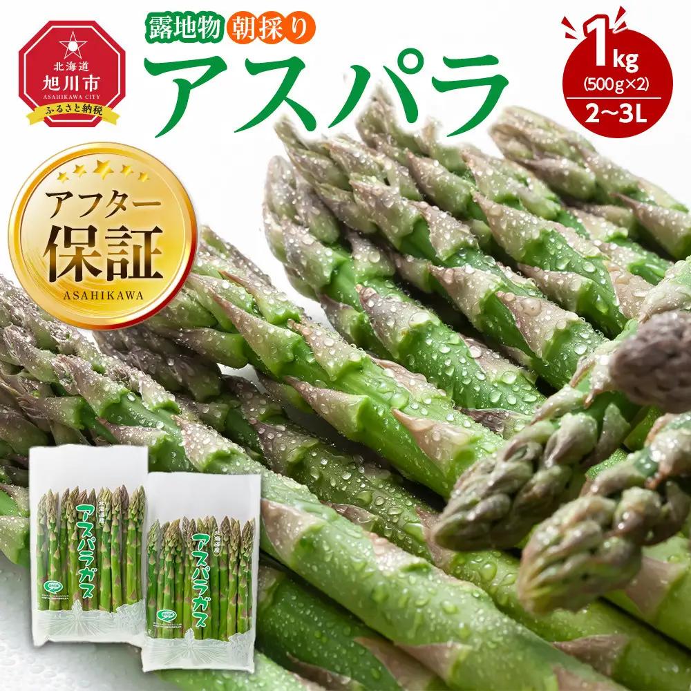 【先行予約】露地物朝採りアスパラ　鮮度保持フィルム入り　2～3L　500g×2セット　(5月中旬発送開始) | アスパラ 北海道_03817
