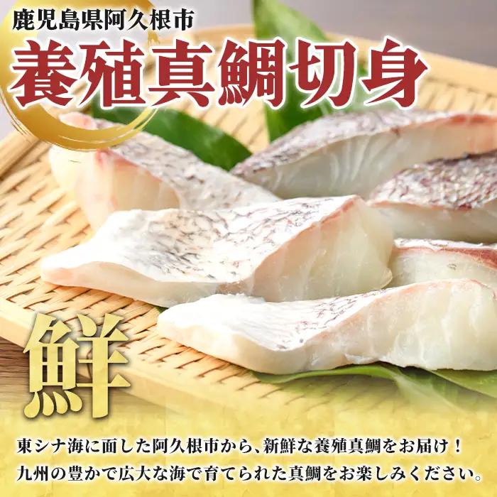 養殖真鯛切身(約1kg) 鹿児島県 阿久根市 たい タイ 真鯛 魚貝 魚介 海産物 切身 切り身 煮物 煮つけ 焼き魚 おかず おつまみ 小分け 【さるがく水産】akn028-46