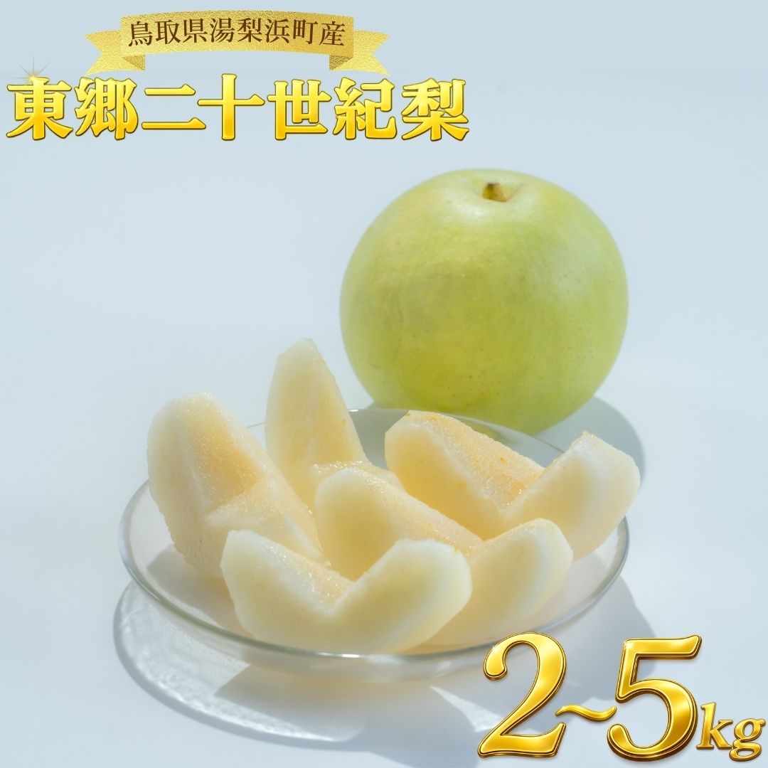 【ふるさと納税】梨 なし 二十世紀梨 5kg 3kg 2kg 東郷 | 二十世紀 鳥取県 湯梨浜町 果物 フルーツ 特産品 ※2026年8月中旬～9月上旬頃に順次発送予定 先行予約 JA 東郷梨選果場 新鮮 人気 おすすめ 送料無料 選べる 内容量